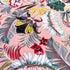 IMAYA